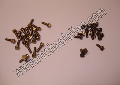 Parafusos de Selagem